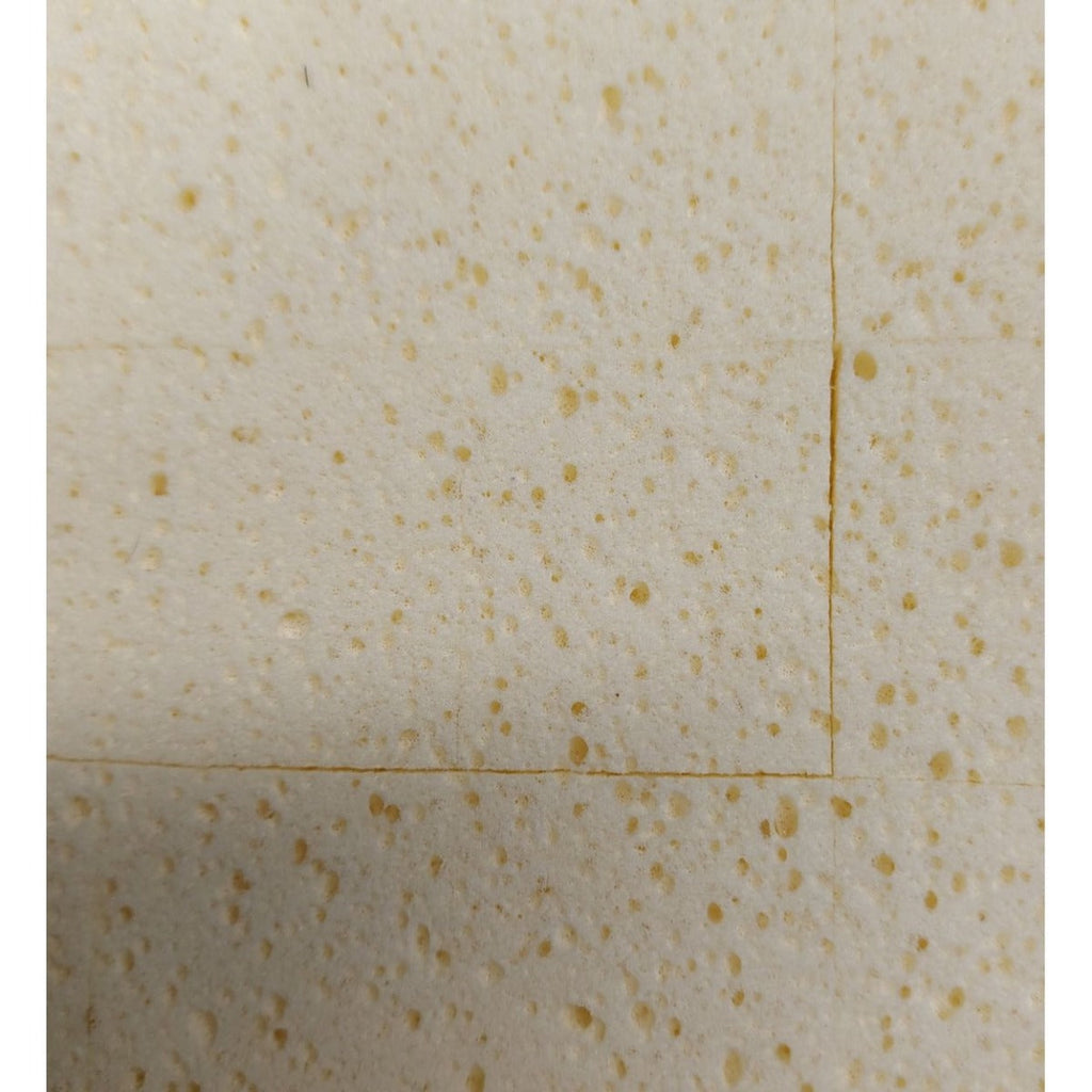 Beava Wash Boy Sponge & Handle