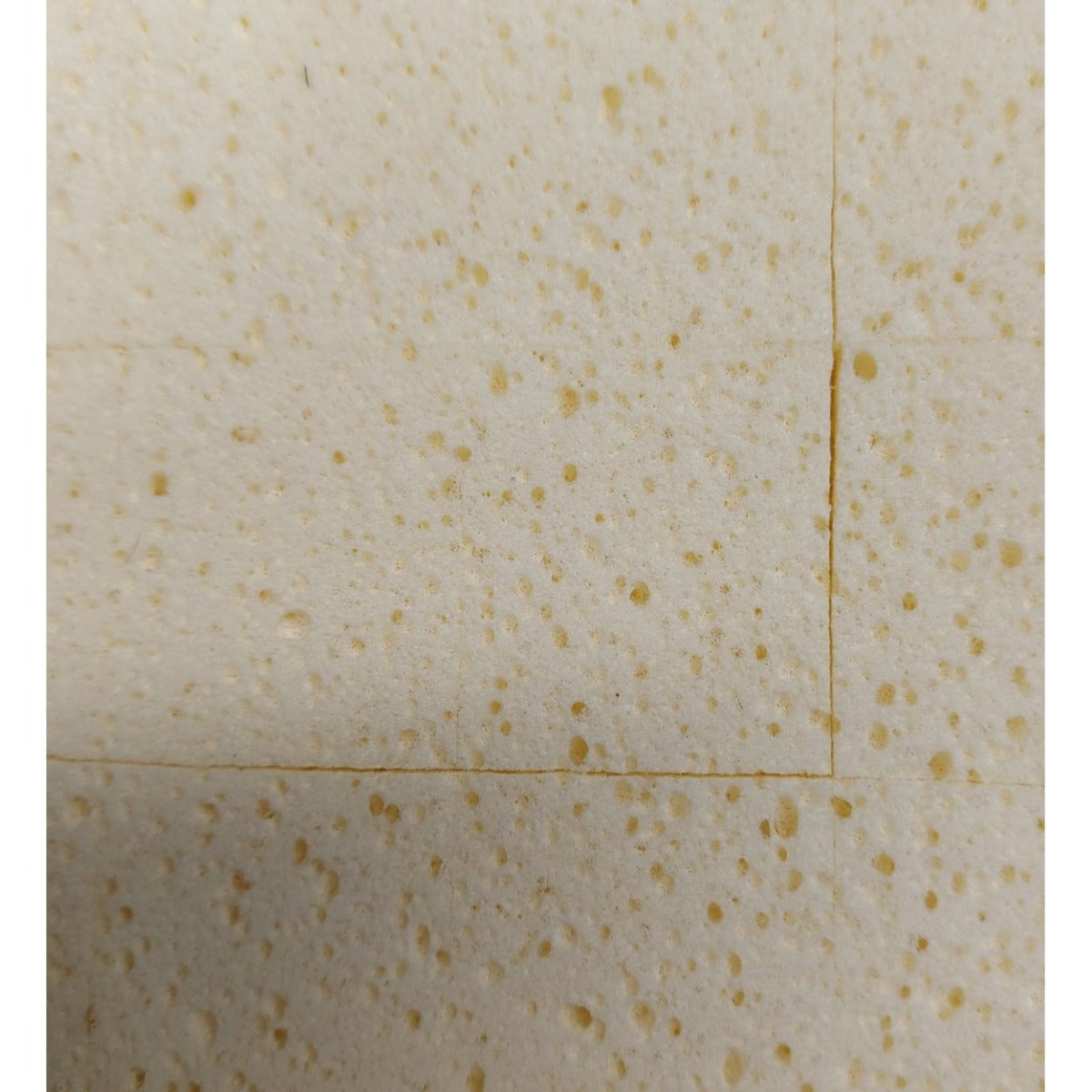 Beava Wash Boy Sponge & Handle
