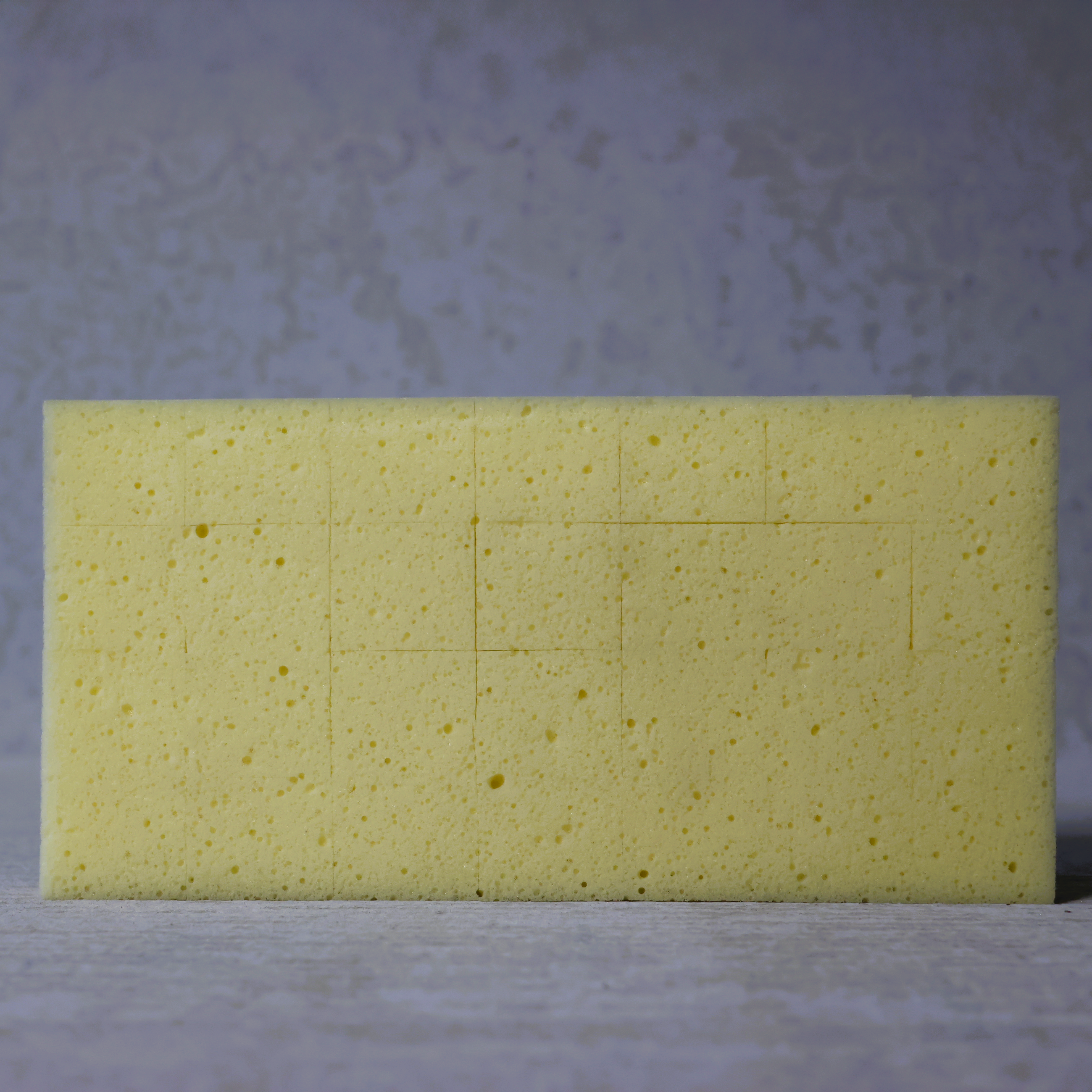 Beava Wash Boy Replacement Sponge for Sponge Holder