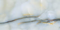 Close-up of Anastasia Turchese Blue Onyx Polished 60 × 120cm stone effect tile, featuring soft blue tones with flowing gold and grey veining, creating a layered, organic pattern with a high-gloss polished finish.