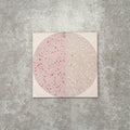 Eclipse Rosa Terrazzo Style Decor Tiles 20cmx 20cm FULL TILE SAMPLE