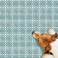 Floor featuring Berber Tetuan Green 15×15cm Moroccan-style porcelain tiles, showcasing a soft green geometric pattern.