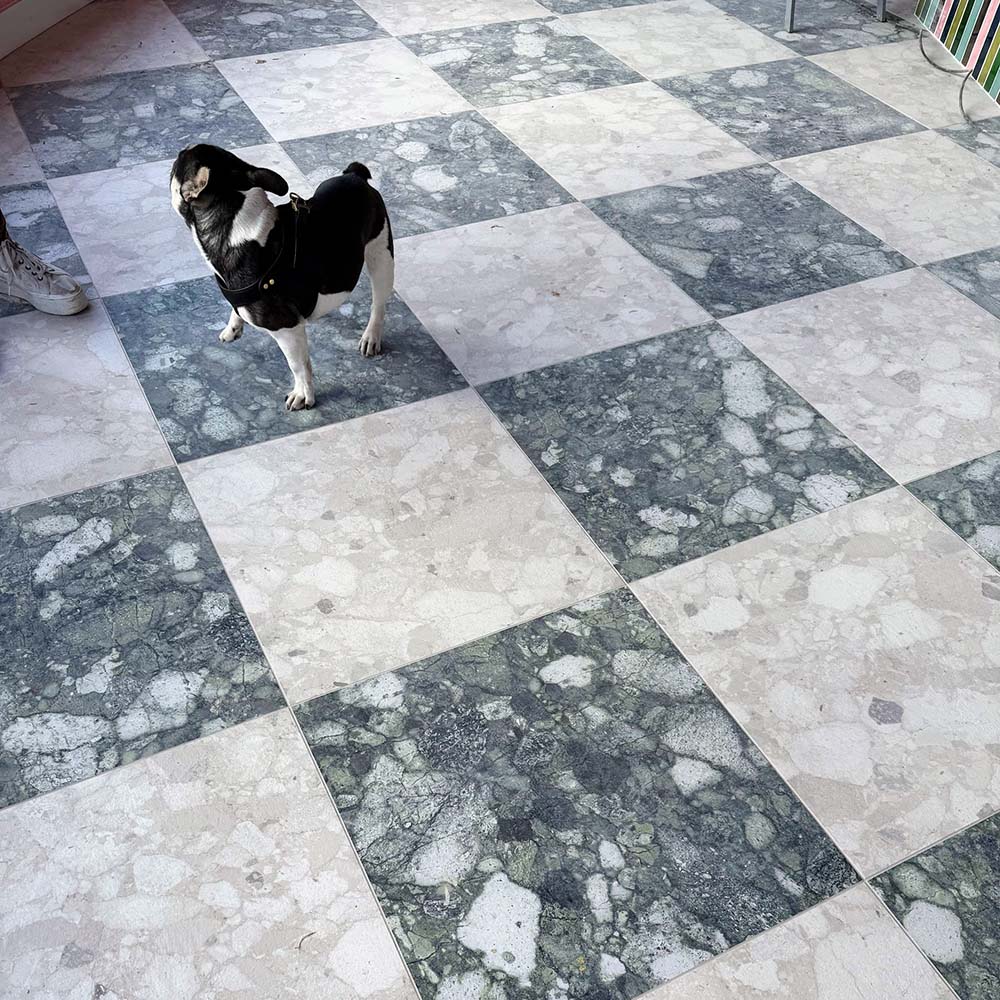 Interior space featuring Venice Ivory terrazzo tiles in a matt finish, 60x60cm, laid in a diamond floor pattern, showcasing soft ivory and grey stone fragments, with a small dog adding scale and character.