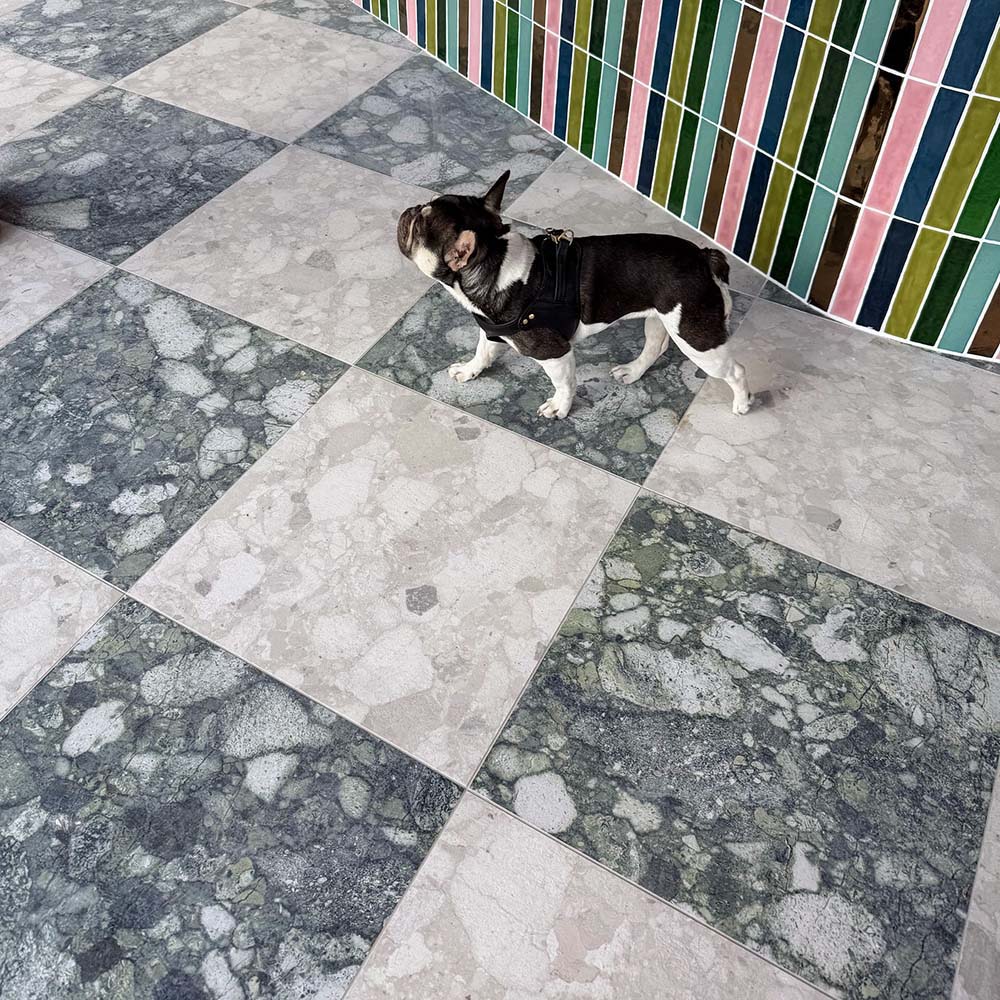 Venice Emerald and Venice Pearl matt terrazzo effect porcelain tiles laid in a chequerboard pattern, creating a striking floor design alongside colourful gloss brick wall tiles.