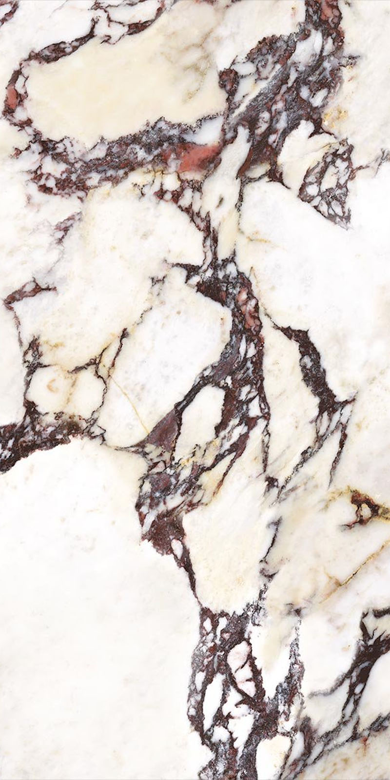 Close-up of Viola Polished Marble effect 60 × 120cm porcelain tile, showcasing a creamy base with dramatic burgundy and charcoal veining, high-gloss finish, and detailed natural stone-inspired pattern variation.