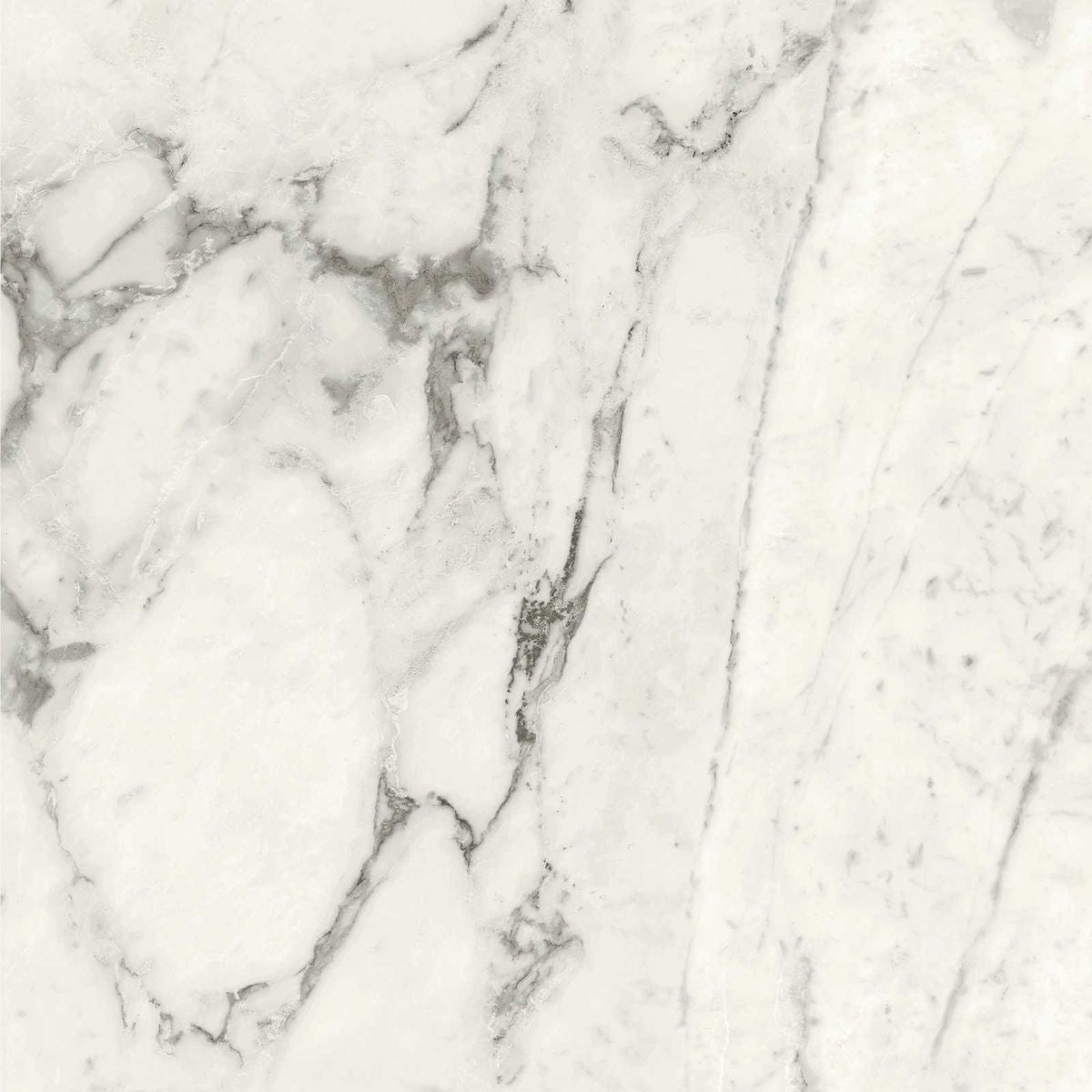 CUT TILE SAMPLE Hudson Calacatta 60cm x 60cm (cut piece 15cm x 30cm approx)