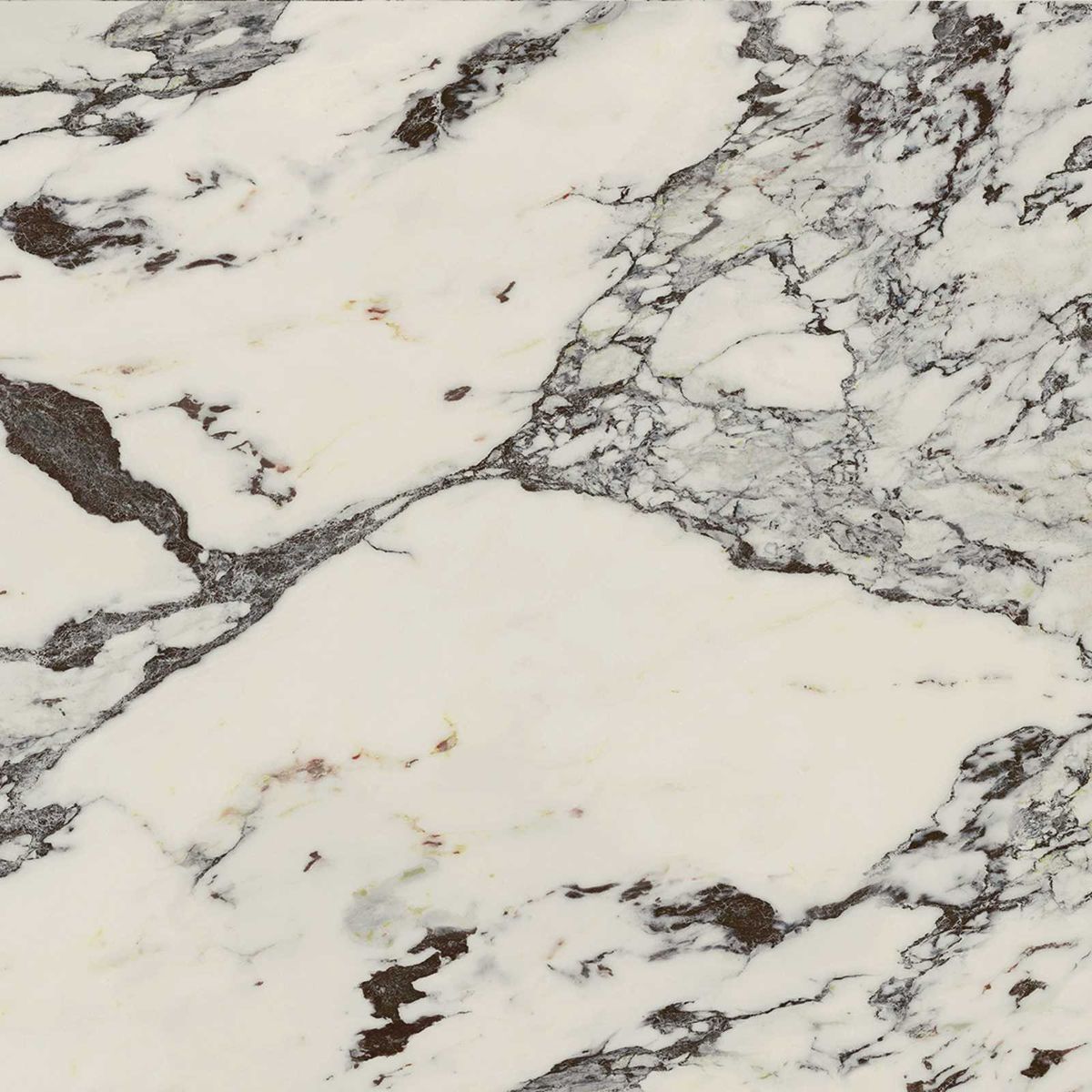 CUT TILE SAMPLE Hudson Capraia 60cm x 120cm
