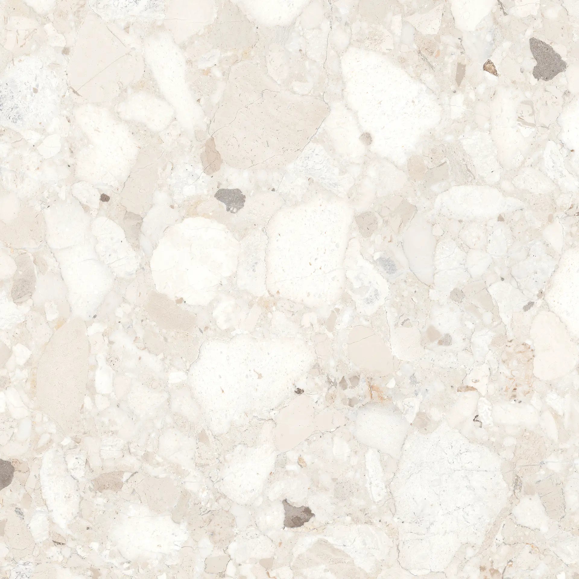 Venice Ivory Terrazzo Tile Polished Ivory 60cm x 60cm