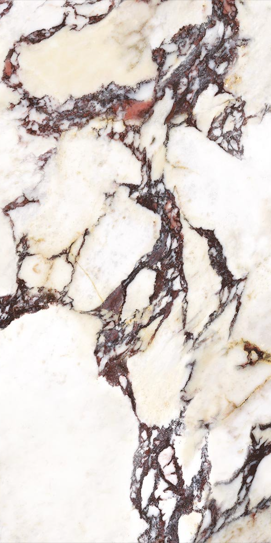 CUT TILE SAMPLE Viola *Polished* Marble style | Porcelain Wall & Floor Tiles | 60cm x 120cm