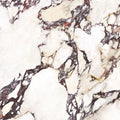 CUT TILE SAMPLE Viola *Polished* Marble style | Porcelain Wall & Floor Tiles | 60cm x 60cm