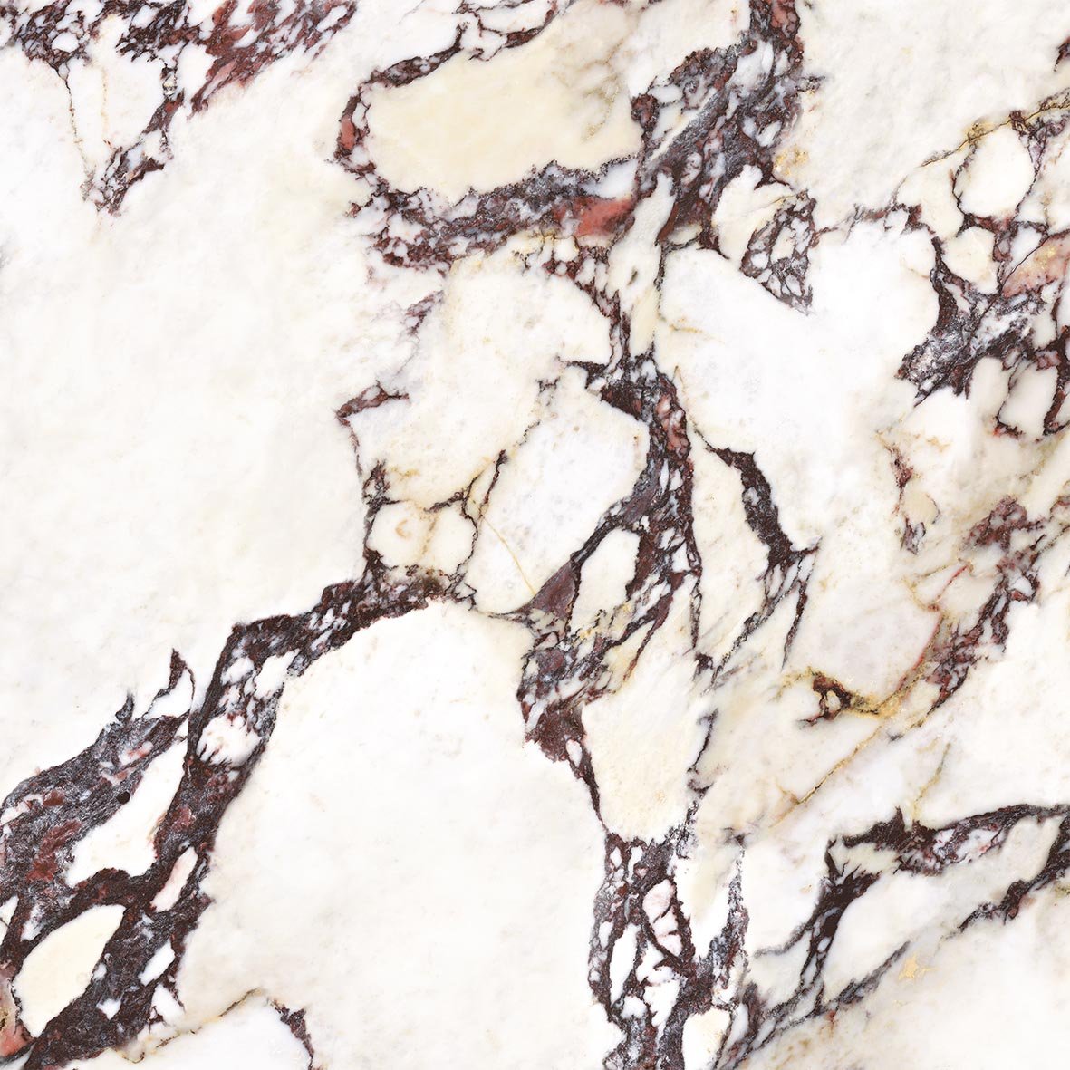 CUT TILE SAMPLE Viola *Polished* Marble style | Porcelain Wall & Floor Tiles | 60cm x 60cm